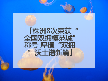 株洲8次荣获“全国双拥模范城”称号 厚植“双拥”沃土谱新篇